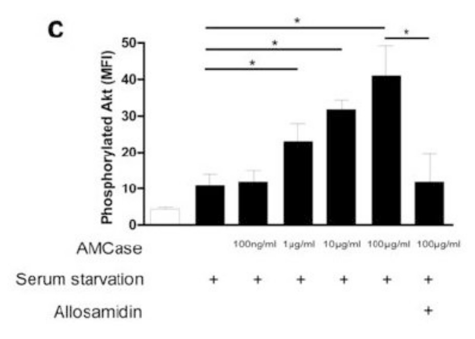 Intracellular phosphorylated Akt was analyzed by flow cytometry in A549 cells transfected with the empty vector (Vector) or with full-length human AMCase.jpg